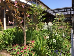 社会福祉法人すずらん診療所 三重県四日市市 の薬剤師求人情報 求人no 2128 ファーマシスタ 薬剤師求人サイト