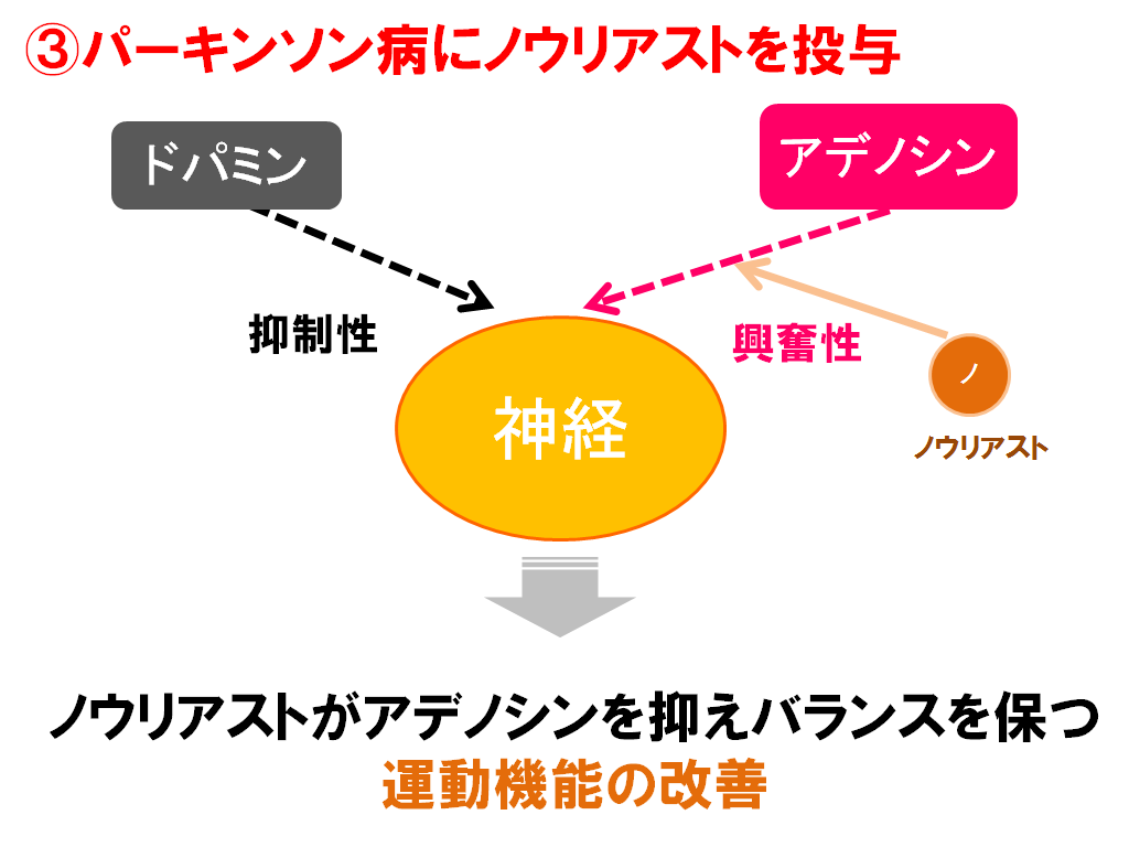 ノウリアスト作用機序 アデノシンとドパミンのバランスを保つ