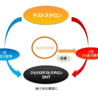 フィナステリド作用機序