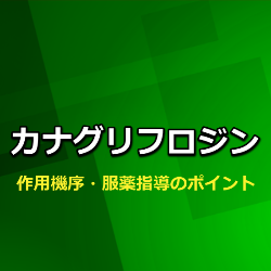 カナグリフロジン（カナグル）作用機序・特徴・特徴・飲み忘れ時の対応