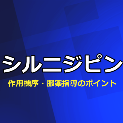シルニジピン（アテレック）作用機序・グレープフルーツとの併用・薬歴記載の要点