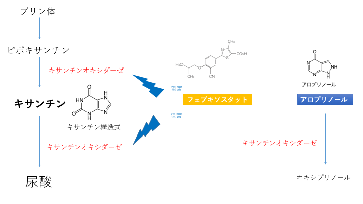 フェブリク作用機序