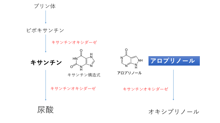 アロプリノール作用機序