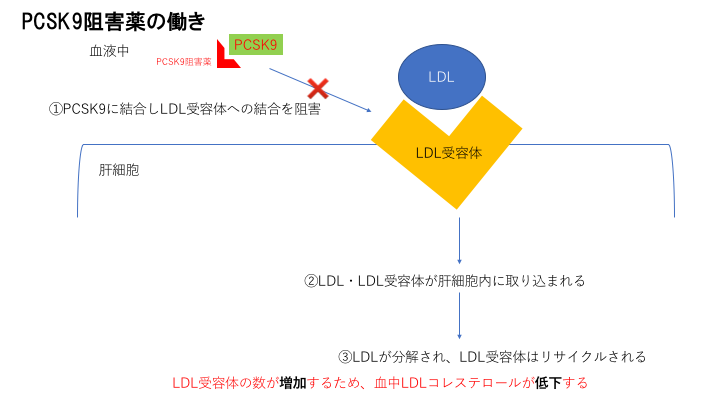 PCSK9阻害薬作用機序