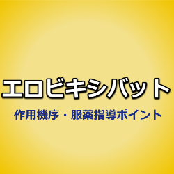 エロビキシバット（グーフィス）作用機序・食前服用の理由・服薬指導の確認事項