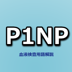 P1NP【骨形成マーカー】