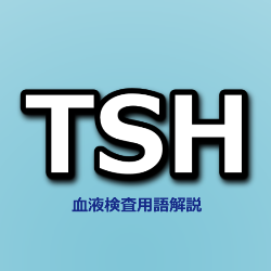 TSH（甲状腺刺激ホルモン）
